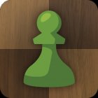 Шахматы · Играйте и учитесь