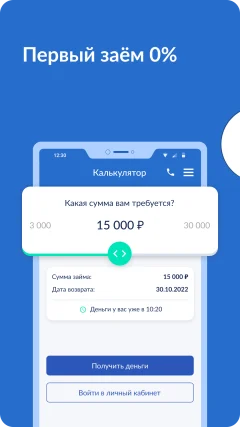 Приложение веб займ — скриншот 1