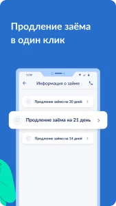 Приложение веб займ 3