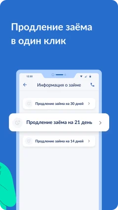 Приложение веб займ — скриншот 3