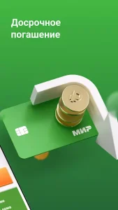 Займер — Робот онлайн займов 2