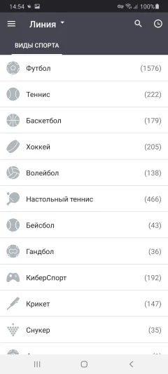 Скачать Megapari — скриншот 3