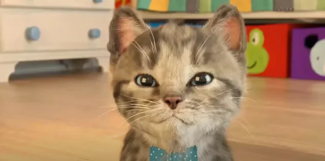 Скачать мой маленький котенок (little kitten) — скриншот 1