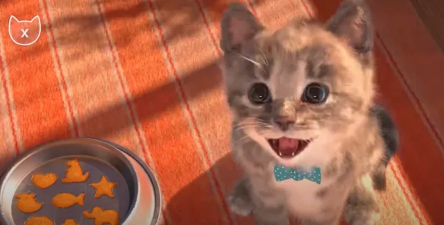 Скачать мой маленький котенок (little kitten) — скриншот 3
