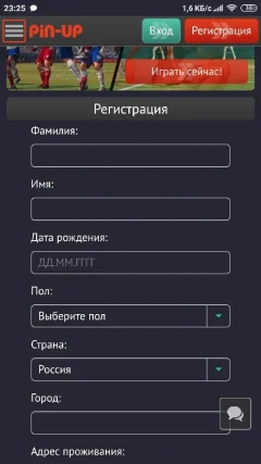 Приложение Pin Up на андроид — скриншот 2