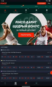 Скачать приложение Pinco 1