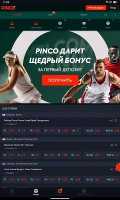 Скачать Pinco на Андроид — скриншот 1