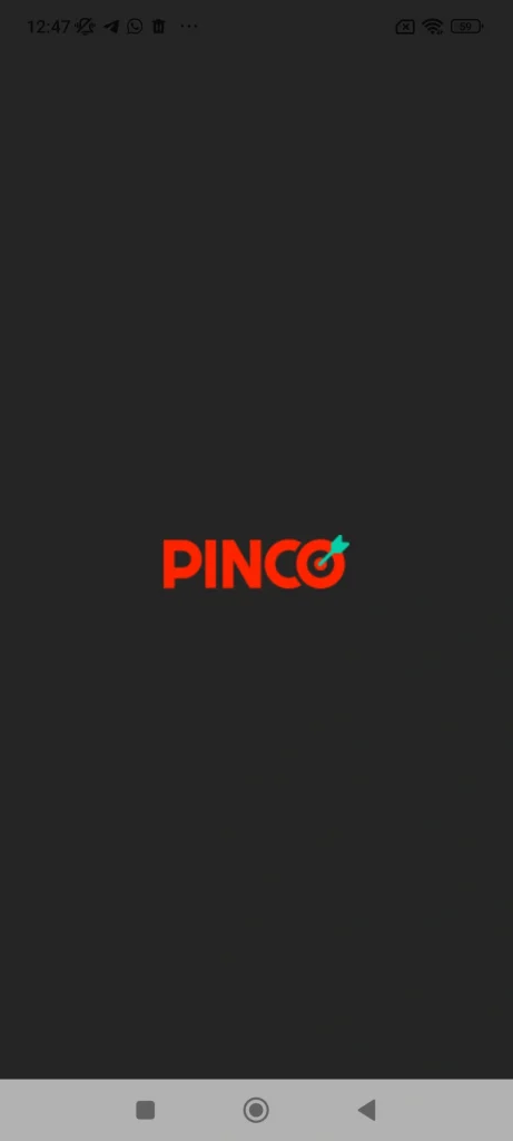 Первый запуск приложения Pinco на телефоне Андроид
