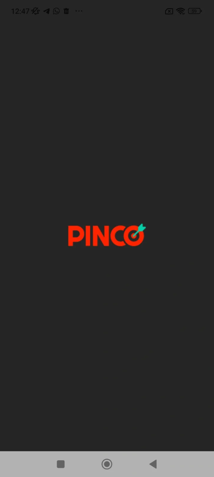 Первый запуск приложения Pinco на телефоне Андроид